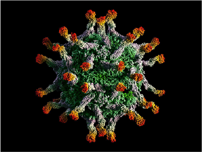 a close-up of a virus