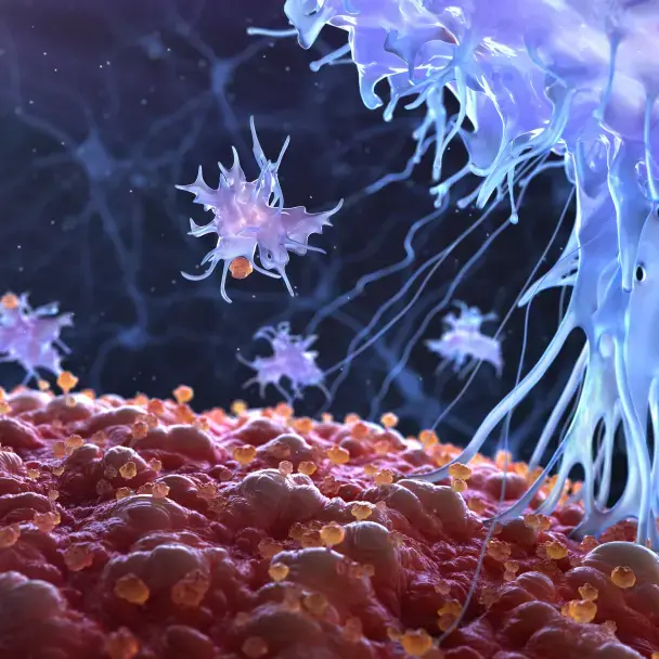 Mechanisms of Action