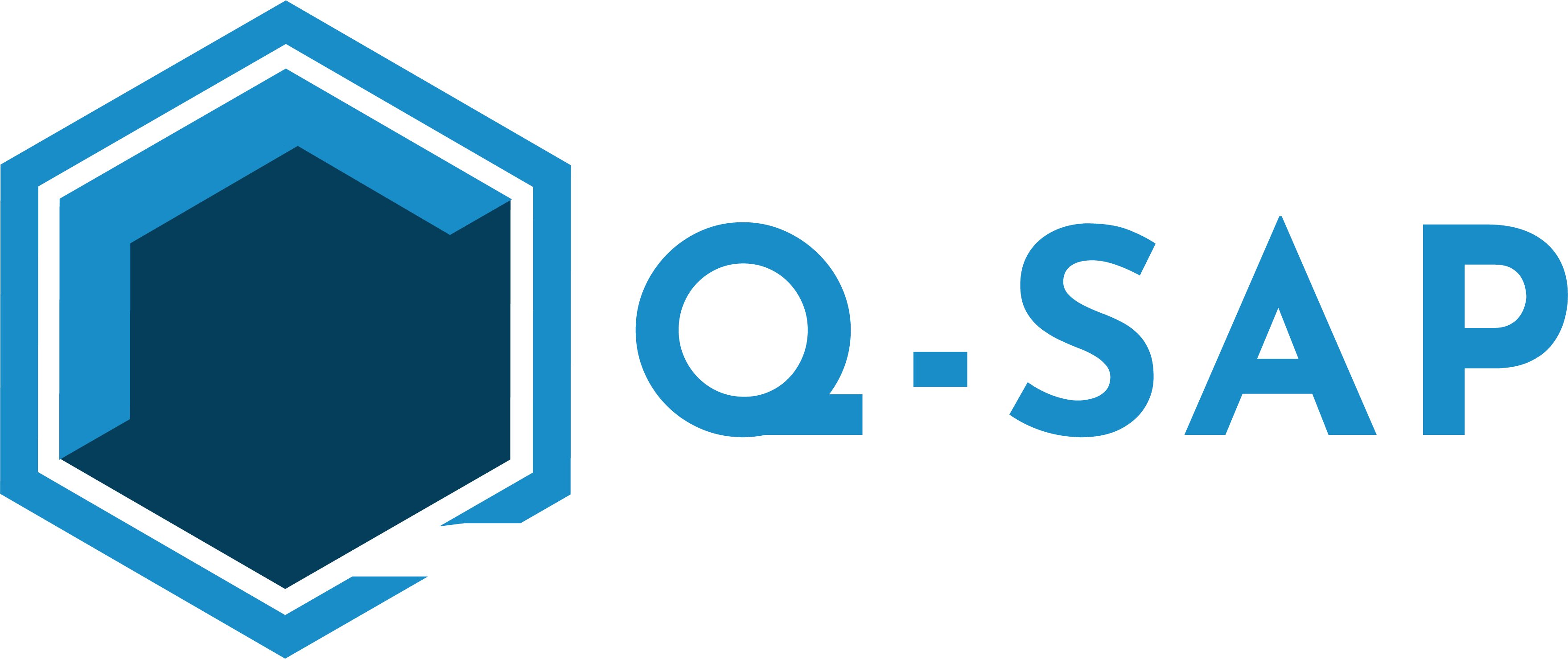 Q-SAP logo