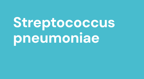 carousel-streptococcus