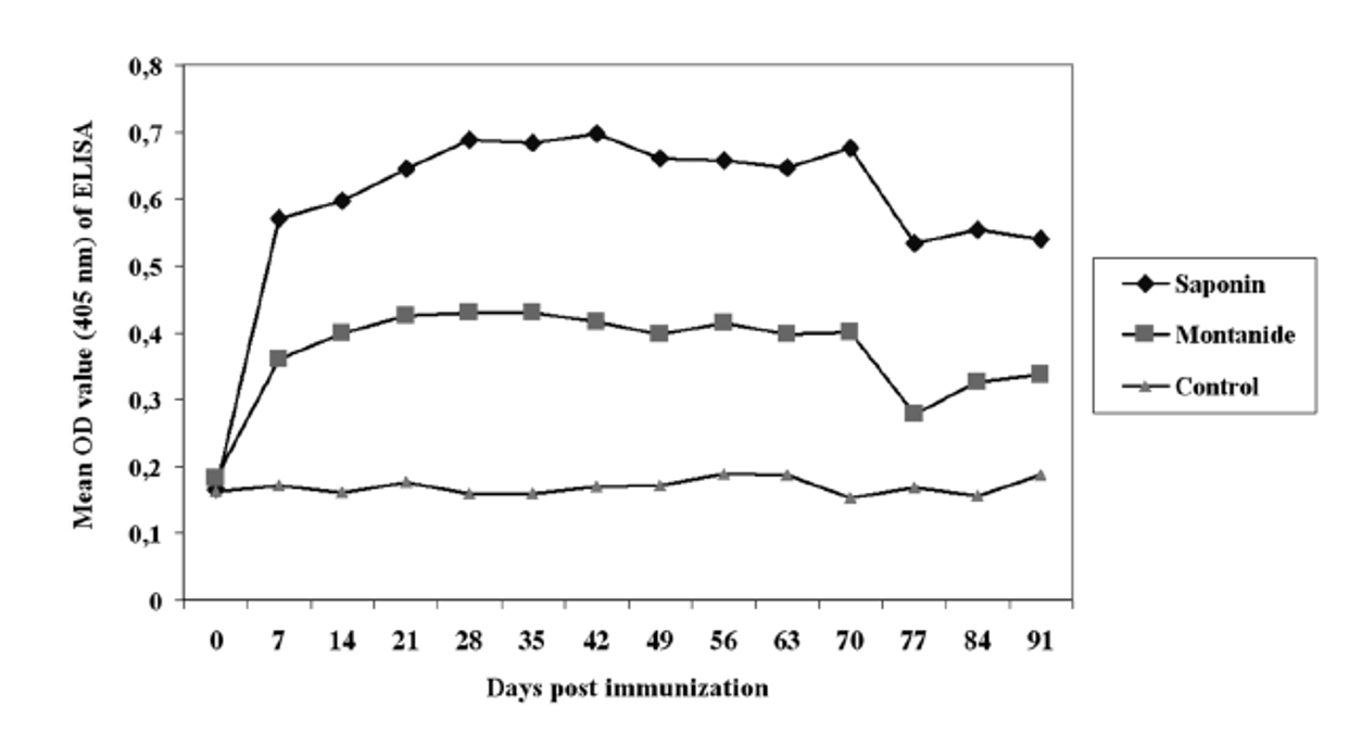 Antibody response to immunization with midgut antigen of H. m